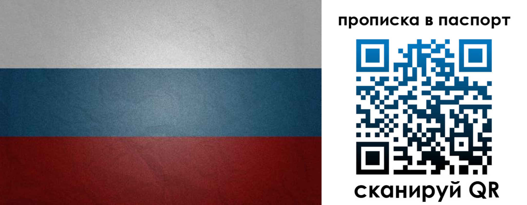 временная регистрация гарантия в Балтийске
